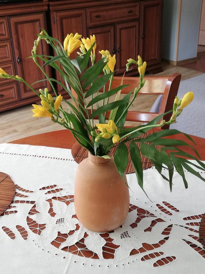Apartament Classic Appartement Malbork Buitenkant foto
